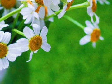 Người làm được 3 điều này khi 40-55 tuổi thực sự rất khôn ngoan, đáng nể