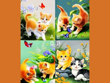 Trắc nghiệm tâm lý: Chọn một cặp mèo theo trực giác và xem con bạn sẽ gặt hái thành công nào?