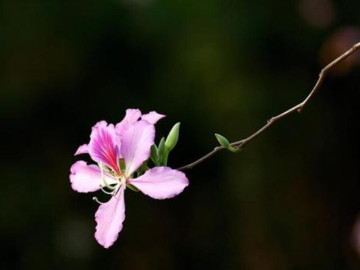 Eva tám - 3 thói quen vàng giúp một người ngày càng giàu có