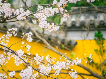 Eva tám - Những người xứng đáng được trân trọng nhất trong cuộc đời này