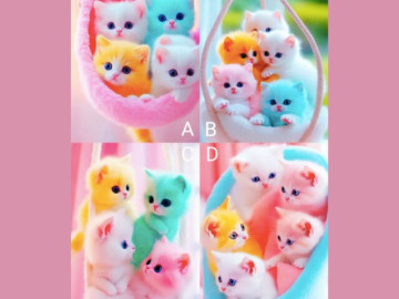 Eva tám - Trắc nghiệm tâm lý: Chọn một bức tranh mèo theo trực giác của bạn