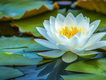 Eva tám - 3 điều này mới là trụ cột vững chắc của một gia đình giàu có thực sự