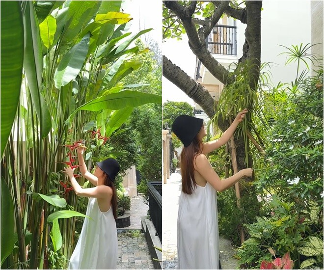 Diễm My cắt hoa lá từ vườn nhà vào cắm. Lối đi nhỏ bên hông nhà được bao phủ bởi hàng cây nhiệt đới cao vút, mang đến cảm giác như lạc vào một khu vườn yên tĩnh giữa phố thị. 