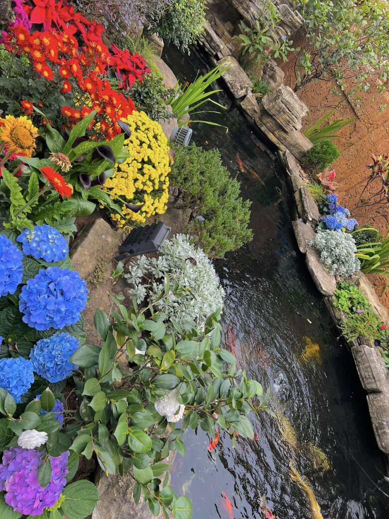 Biệt phủ của danh hài Vượng Râu cây trái sai lúc lỉu làm bao người thích thú, dự đoán thu tới 2 tạ hồng - 9