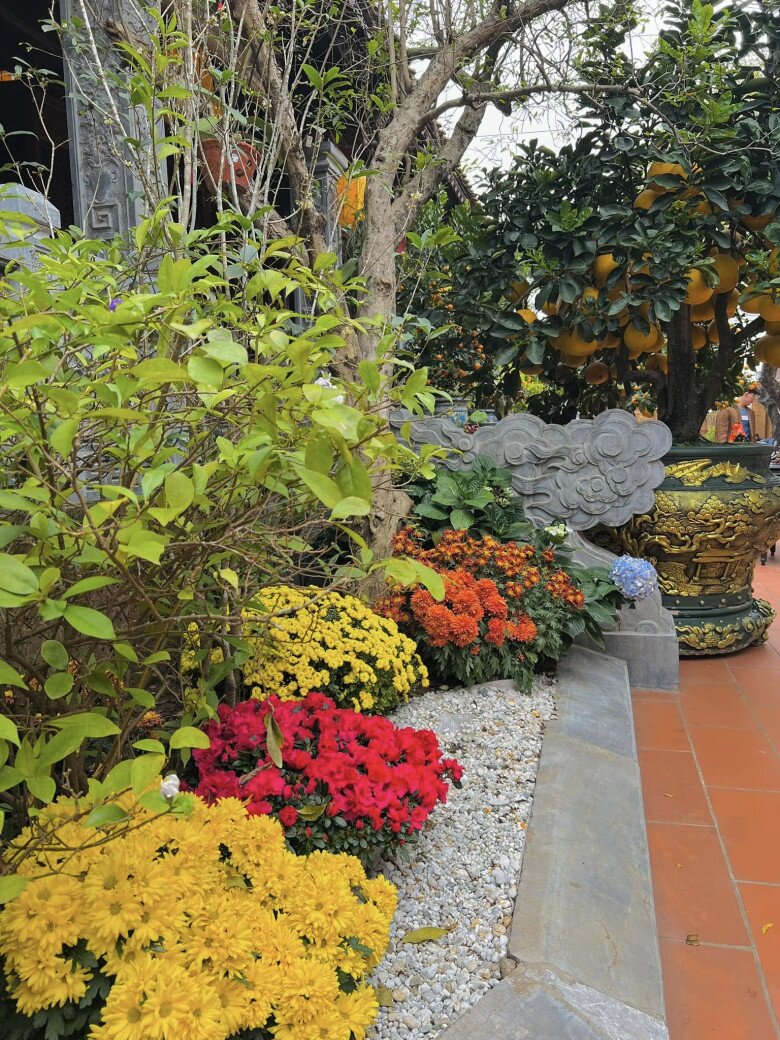 Góc vườn trồng hoa đủ màu vàng, đỏ, cam... rực rỡ. Xen giữa là các cây cảnh, chậu bonsai và đá trang trí. Các mảng màu được sắp đặt hợp lý tạo nên một không gian rực rỡ, góp phần hoàn thiện khu vườn bốn mùa đều có hoa trái trong nhà Vượng Râu.