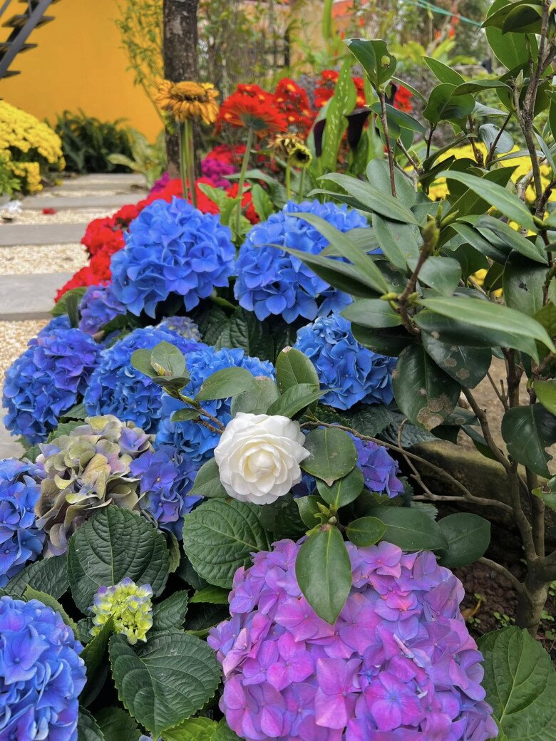 Việc chăm chút không gian sống một cách kỹ lưỡng và đậm chất truyền thống không chỉ cho thấy lối sống điềm tĩnh, hướng về cội nguồn của danh hài, mà còn tạo môi trường lý tưởng để cả gia đình tận hưởng những giây phút đoàn viên, thư thái.