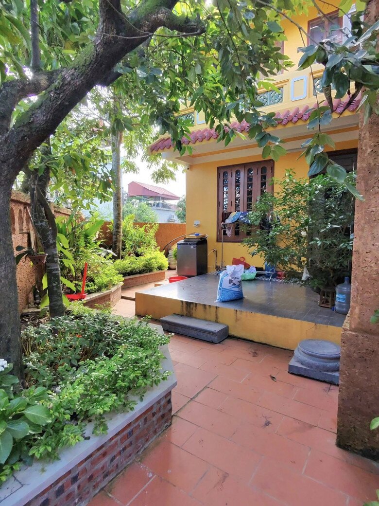 Khoảng sân sau rợp bóng cây ăn quả, sát hiên nhà có thêm các chậu cảnh nhỏ được đặt gọn trên thành bồn. Cây xanh len lỏi từ gốc lên tán, tạo cảm giác “vườn trong nhà, nhà trong vườn”, rất gần gũi và phù hợp với sinh hoạt hằng ngày.