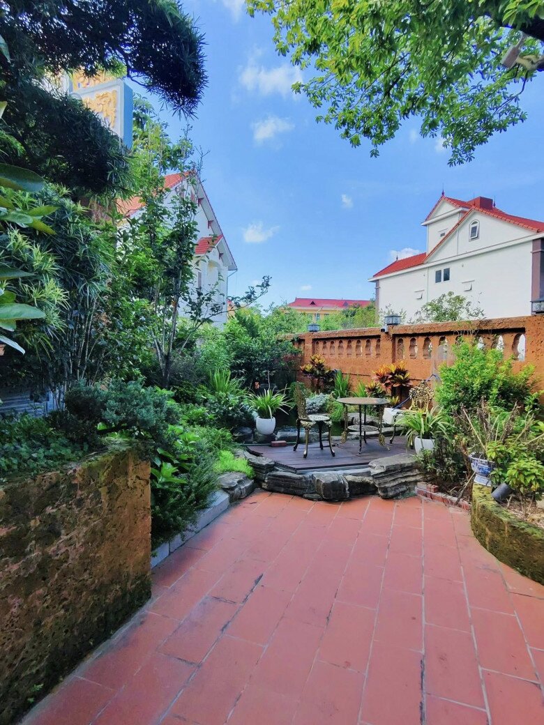 Biệt phủ của danh hài Vượng Râu cây trái sai lúc lỉu làm bao người thích thú, dự đoán thu tới 2 tạ hồng - 14