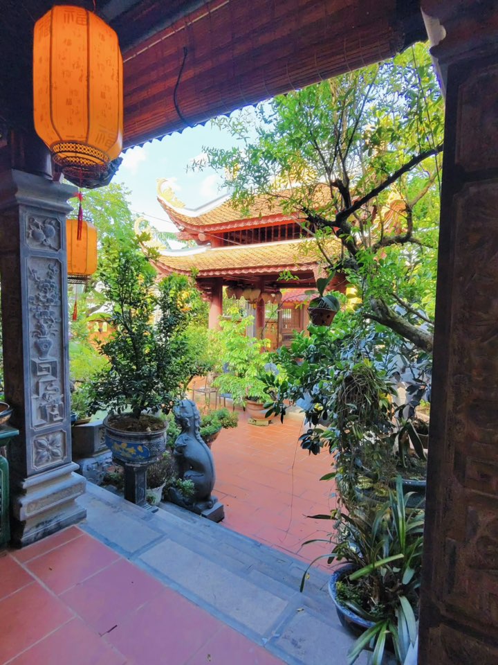 Biệt phủ của danh hài Vượng Râu cây trái sai lúc lỉu làm bao người thích thú, dự đoán thu tới 2 tạ hồng - 16