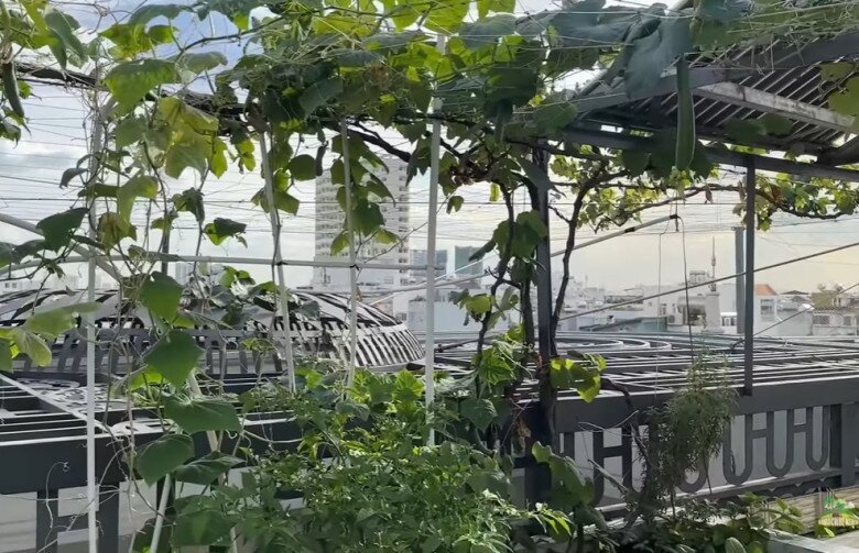 Biệt thự hàng trăm tỷ của em gái ruột Long Nhật ở khu nhà giàu, hoành tráng từ cái cổng đến sân thượng - 28