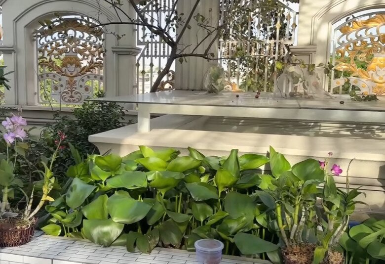 Biệt thự hàng trăm tỷ của em gái ruột Long Nhật ở khu nhà giàu, hoành tráng từ cái cổng đến sân thượng - 23