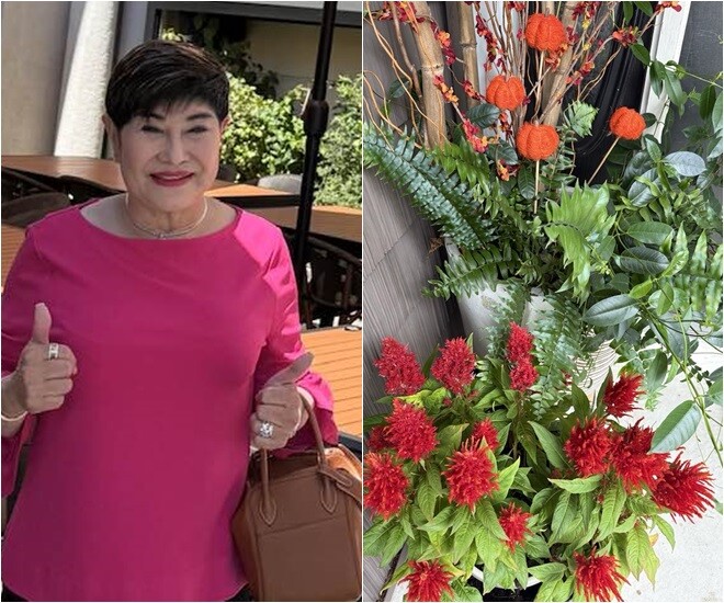 Cảnh tượng trước cửa nhà vợ cũ Đàm Vĩnh Hưng ở Mỹ: Loài cây may mắn amp;#34;đến từ thiên đườngamp;#34; đổi màu rực rỡ - 1