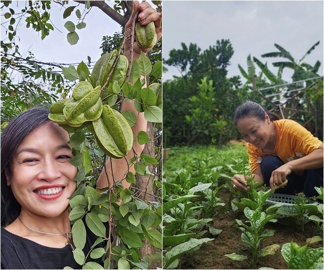 Nghệ sĩ Tú Oanh muốn sống chậm, sống thật, và sống gần thiên nhiên hơn. Cô dành nhiều thời gian ở khu nhà vườn và làm một người nông dân rất chăm chỉ làm cỏ, trồng cây, thu hoạch nông sản.