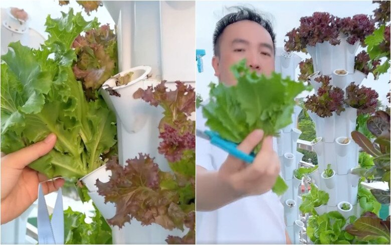 Ngoài ra, nhà còn có sân thượng để trồng cây và thư giãn. Nam ca sĩ từng hào hứng khoe giàn rau thủy canh xum xuê ăn mãi không hết.