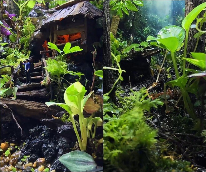 Nữ diễn viên nói: Tôi là muốn lưu giữ là một khoảng trời của Đà Lạt ở trong mắt của tôi á. Nó sẽ giống như cái cảnh khi mà tụi mình đi trên đường, phóng tầm mắt ra xa...