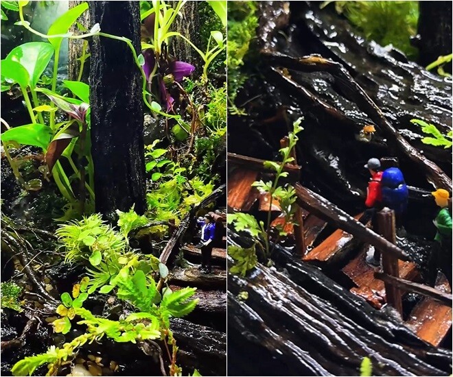 Mình sẽ thấy lấp ló, lác đác những ngôi nhà của những người làm nông, bao quanh là những rặng thông, suối nước, cây cối um tùm, cô chia sẻ.