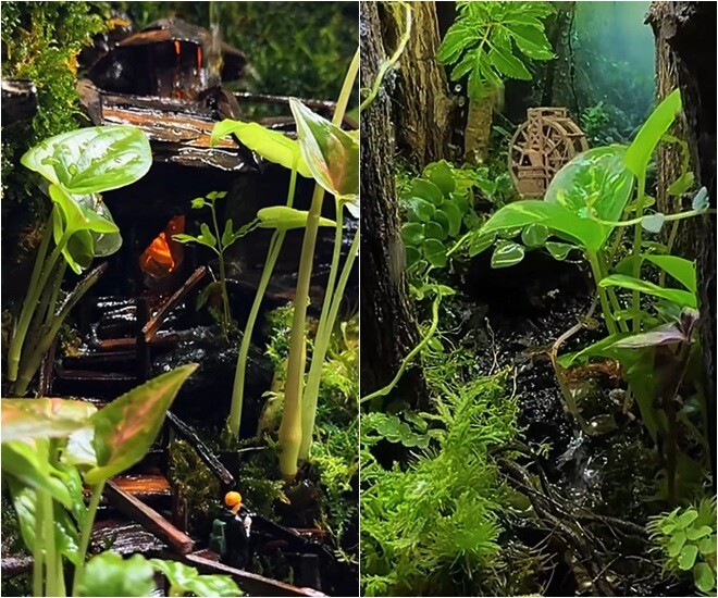 Nói vậy là mọi người biết tôi mê Đà Lạt dữ dằn tới cỡ nào đúng không? Ở Đà Lạt làm homestay chưa chán, về tới Sài Gòn mà cũng phải bê một khoảng trời của Đà Lạt về nhà mới chịu, người đẹp tâm sự.