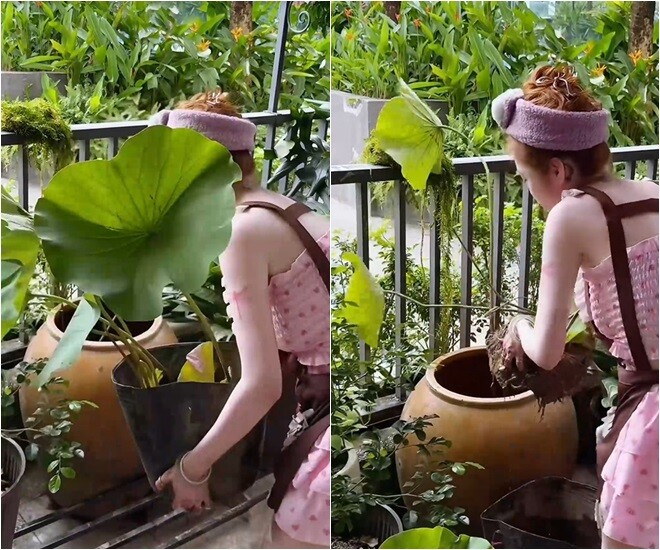 Diễn viên Bí ẩn song sinh cho biết: Tôi là người rất là yêu cái vườn của tôi. Cho nên là bình thường muốn tôi đứng dậy còn khó nữa. Thành ra là chỉ có tình yêu vô vàn đối với cây cối mới có thể bứng tôi dậy rồi mím môi mím lợi nếu mà trồng cho được thì thôi.