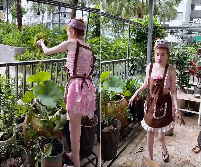 Có một điều mà tôi chắc chắn là cũng ít người biết. Đó là tôi cũng giỏi về cây cối lắm á. Mặc dù là tôi sinh ra ở Sài Gòn, cũng bê tông cốt thép hết rồi, không có nhiều cơ hội để tiếp xúc với thiên nhiên như các bạn ởvùng xa. Nhưng hầu như lá nào thuộc về cây gì có thể là mọi người không biết nhưng mà tôi biết hết trơn. Tại vì tôi rất yêu thích và tìm hiểu.