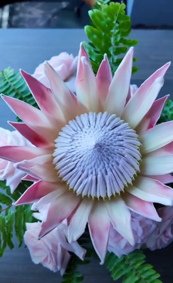 Diva còn tiết lộ: “Sắp tới cuối tháng này, Hồng Nhung sẽ học một lớp học cắm hoa của một cô giáo đến từ Nhật Bản”. Cô mong rằng sẽ học được những kinh nghiệm để giúp cho cách cắm hoa của mình đẹp hơn, thành công hơn.