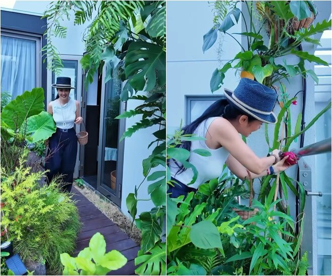 Diva Hồng Nhung cắm loài hoa amp;#34;khổng lồamp;#34; lạ mắt, mang ý nghĩa kiên cường không khuất phục - 10