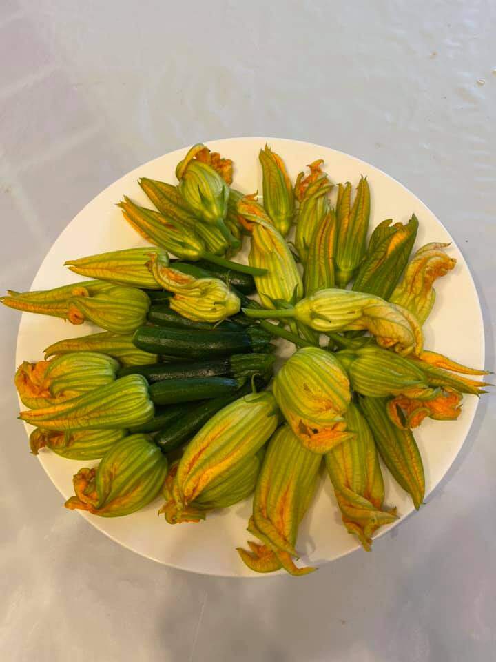 Hành lá amp;#34;khổng lồamp;#34; nhà Phạm Thanh Thảo làm mọi người tròn mắt, chồng đại gia mát tay trồng đủ loại trong vườn biệt thự - 12