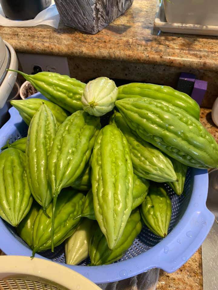 Hành lá amp;#34;khổng lồamp;#34; nhà Phạm Thanh Thảo làm mọi người tròn mắt, chồng đại gia mát tay trồng đủ loại trong vườn biệt thự - 20