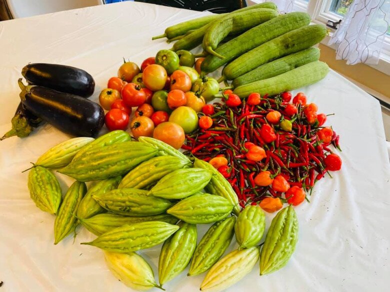 Kết quả một buổi sáng sớm thăm vườn sơ sơ của Sơn Võ. Lúc mùa dịch rảnh rỗi, anh thấy trồng trọt cũng vui, gia đình thường xuyên có rau ăn lẩu. Nam đại gia đùa rằng có thể mở chợ bán rau quả được rồi.