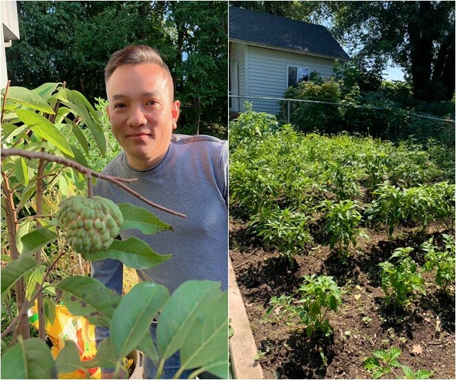 Hành lá amp;#34;khổng lồamp;#34; nhà Phạm Thanh Thảo làm mọi người tròn mắt, chồng đại gia mát tay trồng đủ loại trong vườn biệt thự - 9