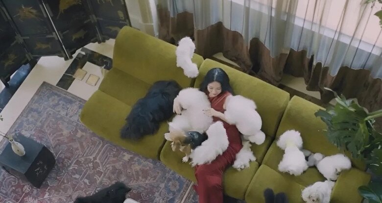 Trong phòng khách đặt một chiếc ghế sofa xanh rêu. Nội thất kết hợp thảm họa tiết phương Đông và đồ da cao cấp. Hoắc Tư Yến hay ngồi nghỉ tại đây, chơi đùa cùng gần chục chú chó giống nhỏ.