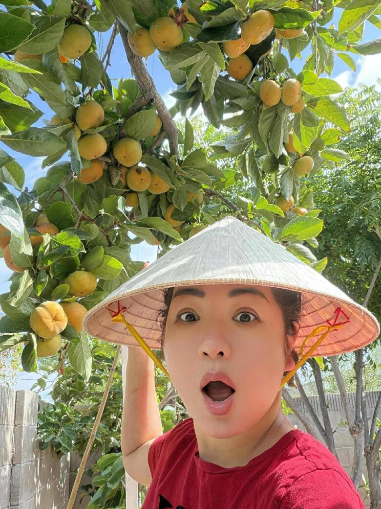 Nữ danh hài đội nón lá, ngạc nhiên thích thú với thành quả sau một thời gian trồng trọt. Từng chùm quả tròn đều, tươi tắn ai nhìn cũng thích mắt.