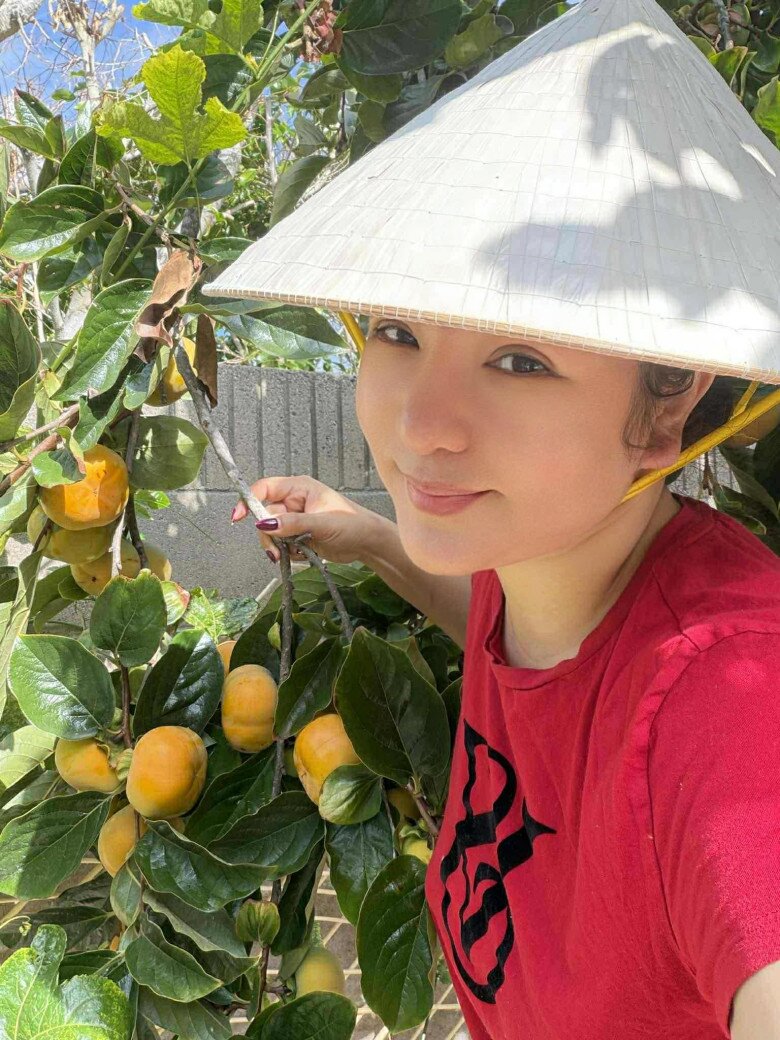 Loại cây trấn trạch hút lộc lại còn ra quả ngon ngọt được nhiều sao Việt trồng từ Việt Nam qua Mỹ - 12