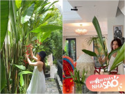 Bên trong biệt thự Diễm My 9x được bố mẹ chồng đại gia tặng, góc nào cũng đẹp nên thơ