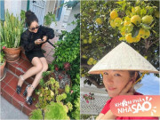 Nhà đẹp - Vườn tuyệt đẹp trong biệt thự 30 tỷ của danh hài Thúy Nga: Ngập tràn sen đá, trái cây lúc lỉu trên đầu