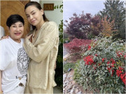 Nhà đẹp - Cảnh tượng trước cửa nhà vợ cũ Đàm Vĩnh Hưng ở Mỹ: Loài cây may mắn "đến từ thiên đường" đổi màu rực rỡ