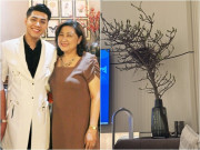 Mẹ ruột Noo Phước Thịnh thuộc hệ thích chơi hoa nhưng bê cả tổ chim về làm quý tử choáng váng