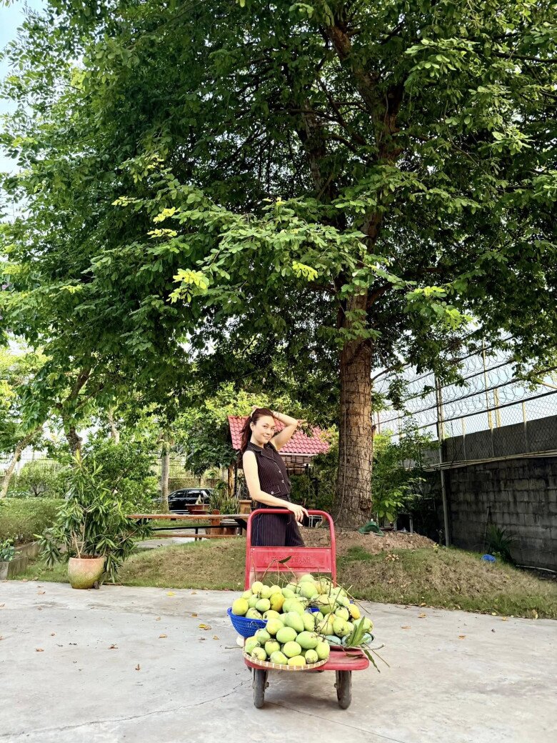 Cô nói vui rằng bản tính thích sống như vậy nhưng cuộc đời đưa đẩy làm ca sĩ. Trước đây, cô chỉ biết đi làm và không dành thời gian cho cuộc sống cá nhân. Sau này, cô biết lựa chọn, ít show lại và quay về bên trong.