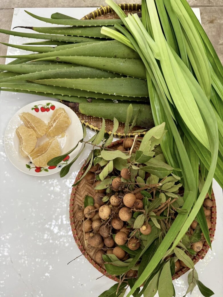 Ngoài ra, khu vườn của Mỹ Tâm còn rất nhiều loại cây trái khác. Khi thì bưởi, nhãn, chôm chôm, táo... có khi là dâu tằm, nha đam để làm nước uống.