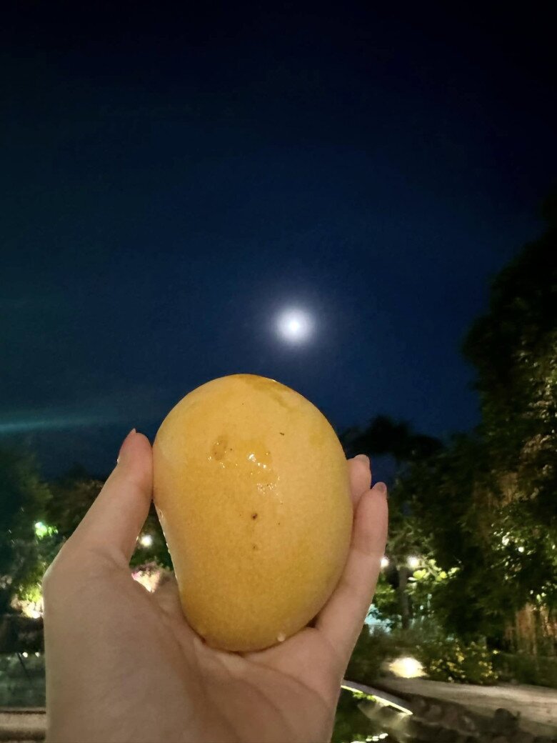 Mỹ Tâm thu hoạch nhiều xoài ở nhà vườn, cuộc sống hưởng thụ bao người mơ ước tại cơ ngơi hàng nghìn m2 - 9