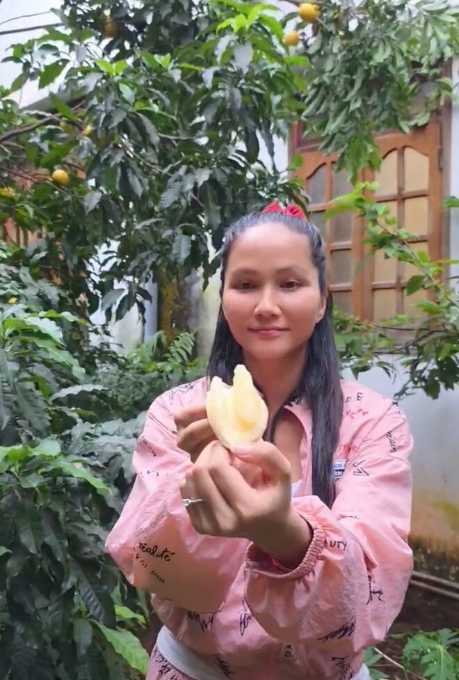 Bên trong trái vú sữa hoàng kim cũng có một cái hạt to đúng và lõi giống như vú sữa ta. Cô miêu tả mùi vị một cách thú vị: Nó có vị ngọt rất là thanh, một phần do trời mưa nên phần trái của nó được bọc trong không khí se se lạnh, nên trái nó giống như mình để trong ngăn mát tủ lạnh vậy đó, ăn rất là mát.