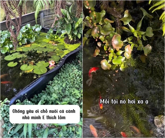 amp;#34;Nữ diễn viên lùn nhất Vbizamp;#34; sống trong biệt thự rộng thênh thang, cứ nói ngọt amp;#34;chồng yêu ơiamp;#34; là có nội thất mới - 14