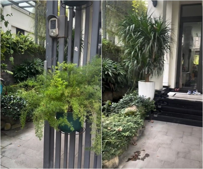 Nữ MC dẫn mọi người xem cây thông Noel bằng đoạn video từ cổng vào trong nhà. Cổng nhà được thiết kế hiện đại, có camera chuông cửa tích hợp. Một chậu cây treo xanh mướt ngay trên cổng tạo điểm nhấn mềm mại. Lối dẫn vào nhà ngập tràn cây xanh và tiểu cảnh bố trí sát tường, giúp không gian thêm mát mắt và dễ chịu. 