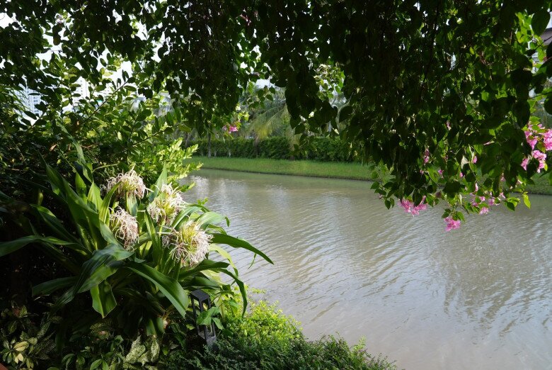 Khung cảnh bên ngoài biệt thự hướng ra sông, được bao bọc bởi hàng cây xanh mướt. Đây là một trong những lý do khiến không gian sống của cô luôn tĩnh tại, trong lành.