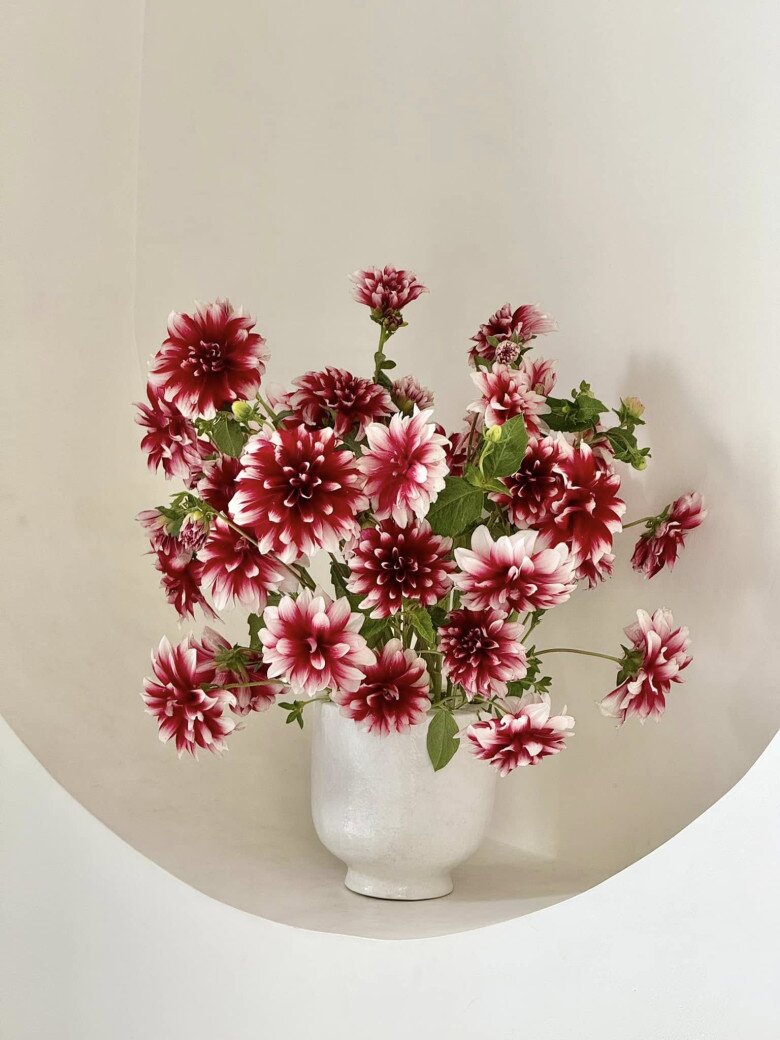 Ngoài cúc họa mi, Vân Trang từng cắm nhiều loại hoa khác nhau như thược dược, hoa trà... Cô chia sẻ rằng thú vui này khiến mình không thèm ra đường nữa luôn, quanh quẩn ngắm con rồi ngắm hoa, ngắm cây.