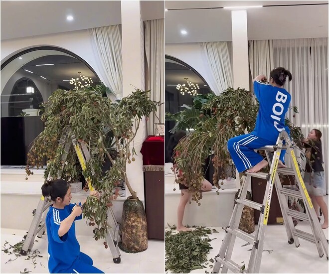 Vân Trang không còn thiết ra đường, ngồi tỉ mẩn nhặt 1001 cái lá, từng cành hoa để trang hoàng biệt thự 1.000m2 - 11