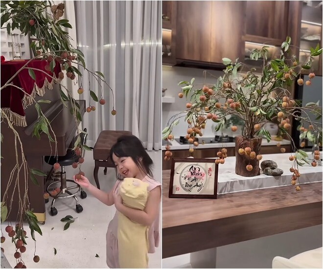 Mùa nào cắm nấy, vào mùa vải, Vân Trang vác cả những cành vải đầy quả về để trang trí cho biệt thự - một thú chơi rất độc đáo từ loại cây ăn quả thân quen.