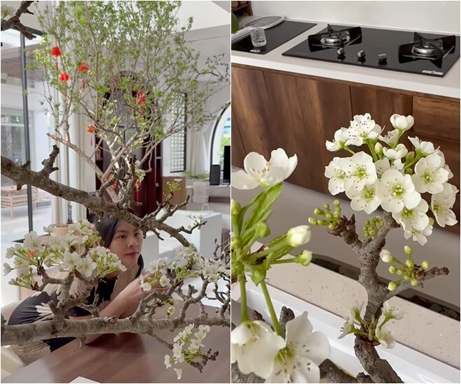 Cô không biết để đâu nên cắm trong đảo bếp. Từ giây phút em nó nở hoa ra, lúc nào tôi cũng ở trong bếp và cứ xuýt xoa hoài, ngắm nó hoài, quay nó hoài, nữ diễn viên chia sẻ.