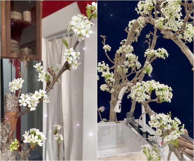 Vân Trang không còn thiết ra đường, ngồi tỉ mẩn nhặt 1001 cái lá, từng cành hoa để trang hoàng biệt thự 1.000m2 - 17