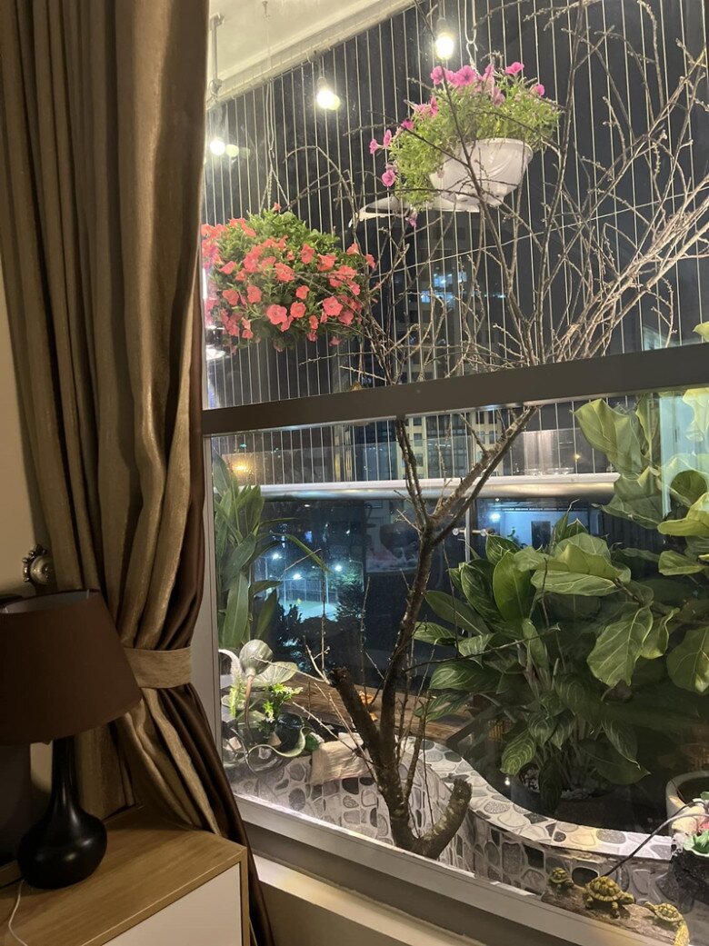 Bên trong nhà, qua lớp cửa kính, có thể thấy rõ giàn cây xanh được chăm chút - một khoảng trời riêng giữa lòng đô thị nhộn nhịp.