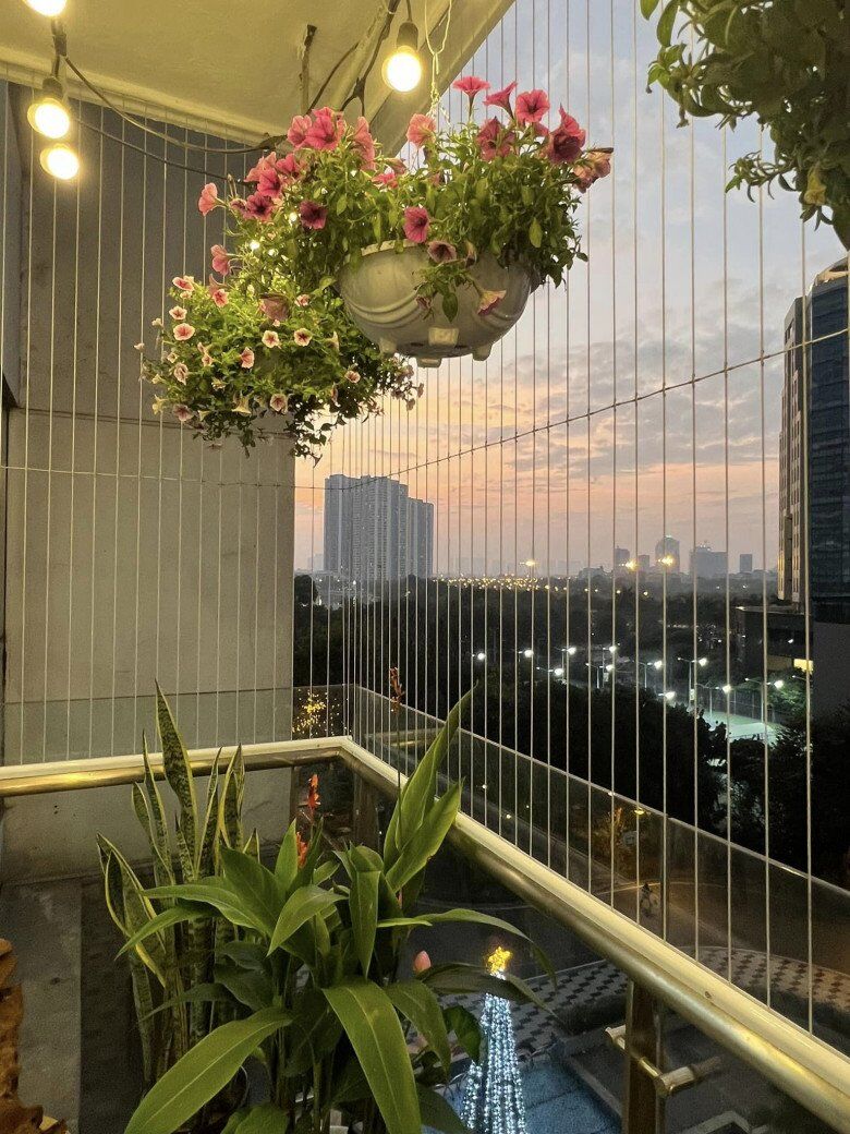Buổi hoàng hôn buông xuống, giàn hoa dạ yến thảo rủ bông dưới ánh đèn vàng dịu. Từ trên cao nhìn xuống là cả thành phố lên đèn, nhưng ban công này vẫn mang vẻ ấm cúng rất riêng.